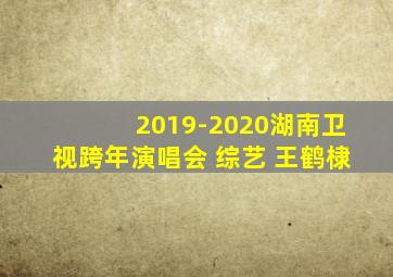 2019-2020湖南卫视跨年演唱会 综艺 王鹤棣